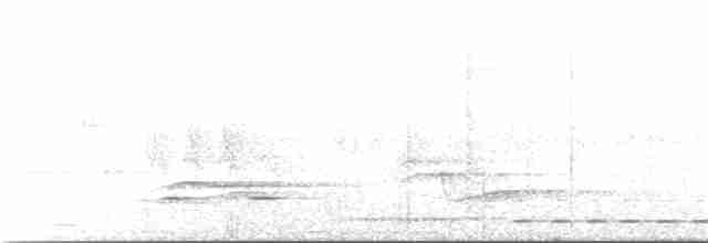 Rufous-and-white Wren - ML240539671