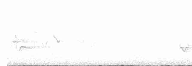 Weißstirnvireo - ML240539701