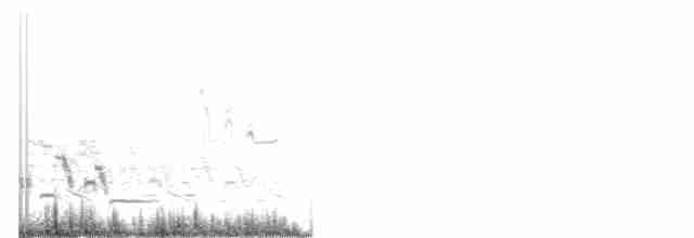 prærielerketrupial - ML240551471
