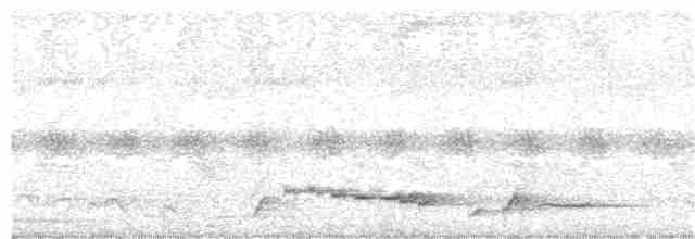 Beyaz Belli Şama - ML240551901