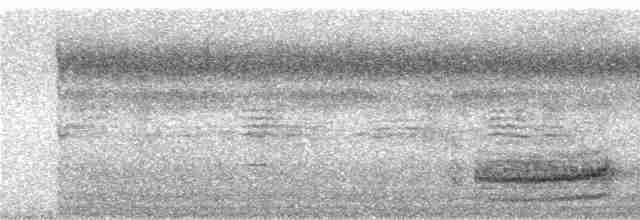 Zimtkehl-Baumspäher [nigricauda-Gruppe] - ML240555