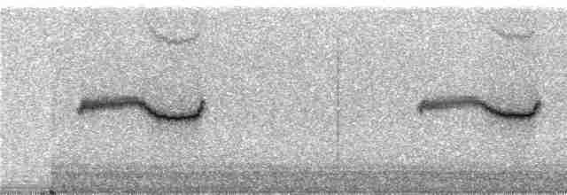 Band-winged Nightjar (atripunctata) - ML240556