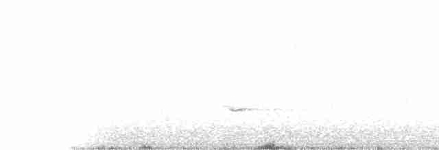 Tennessee Warbler - ML240556911