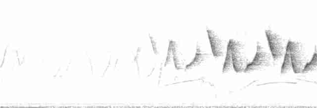 カオグロアメリカムシクイ - ML240558281