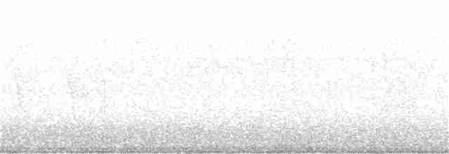 Prairie Warbler - ML240563071