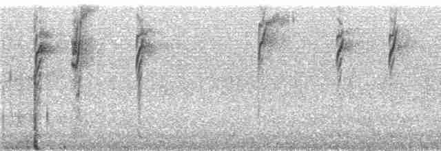 gråhettetanagar (chrysogaster) - ML240571