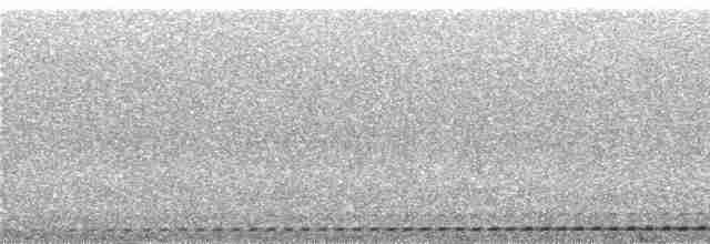 Мурашниця смугаста - ML240576