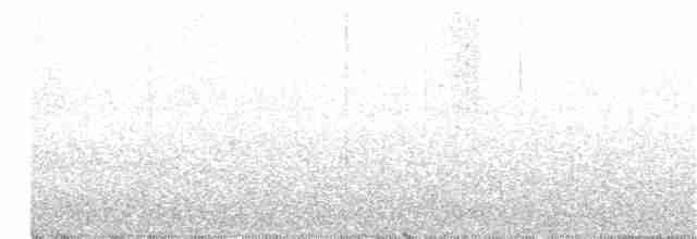 Дятел-смоктун білочеревий - ML240576891