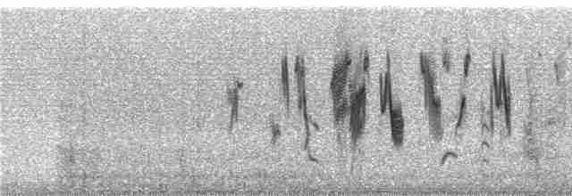 Патагонский конёк [группа correndera] - ML240605