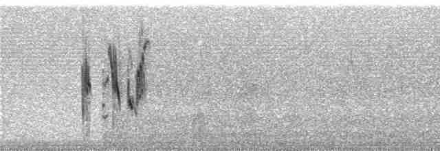 Патагонский конёк [группа correndera] - ML240606