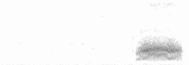 Одуд євразійський - ML240608511