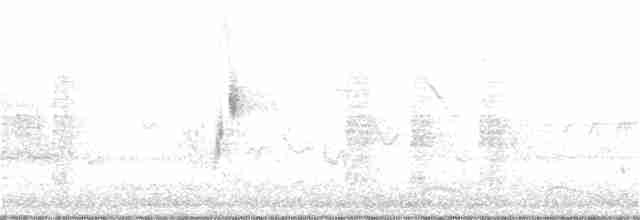 tyranovec vrbový - ML240614911