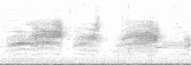 Віреон світлобровий - ML240615211