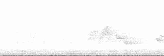 tyranovec olšový - ML240615931
