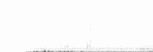 Ovenbird - ML240616891