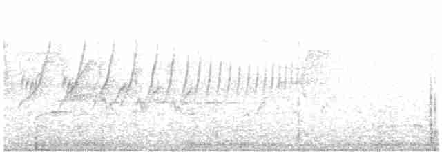 ML240624711 visualization