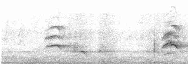 aviceda hnědohřbetá - ML240676811