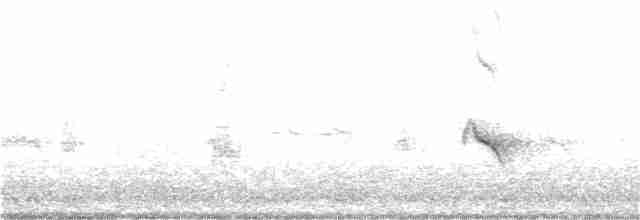 Evening Grosbeak (type 1) - ML24071941