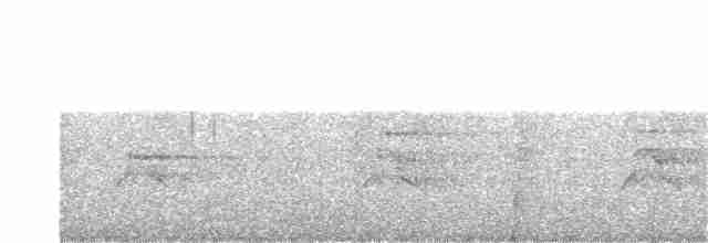 Чёрно-белый орёл - ML240721441