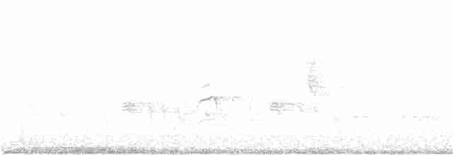 Яструб тасманійський - ML240723401
