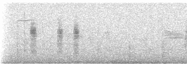 Western Black-eared Wheatear - ML240753921