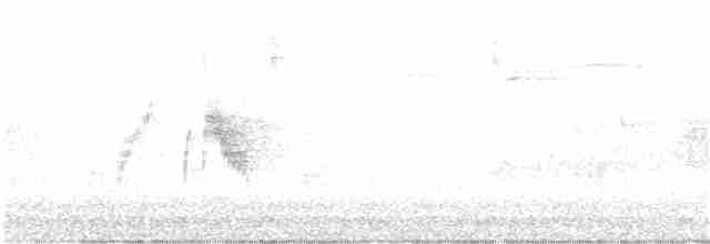 tyranovec vrbový - ML240803791