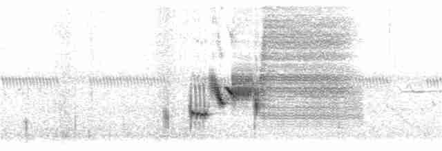Приморская овсянка-барсучок - ML240825411