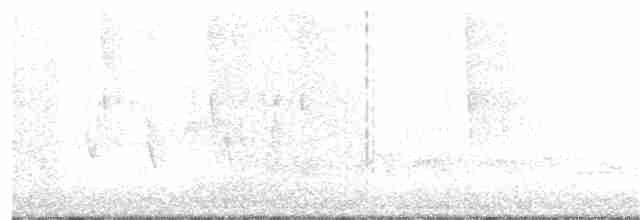 Augenring-Waldsänger - ML240850201