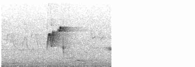 Acadian Flycatcher - ML240854651