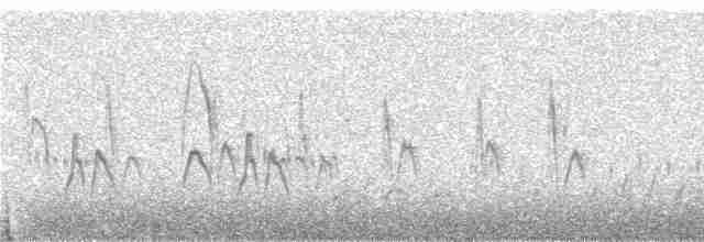 Tit-like Dacnis (parina) - ML240881
