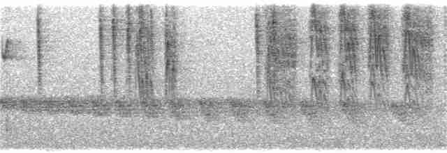 Conirostre oreillard - ML240882491