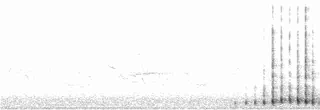 Канадский журавль - ML240884811