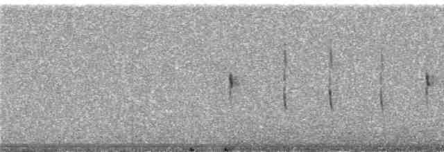 Strichelstirn-Bündelnister - ML240912