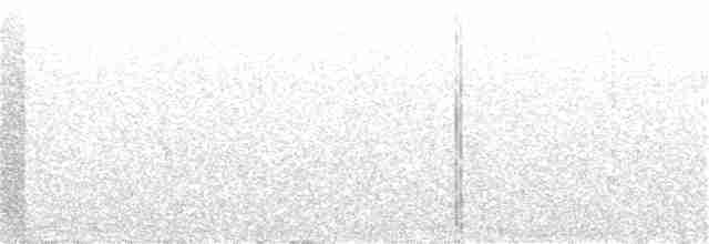 grånakkefjellfink (tephrocotis gr.) - ML240918061