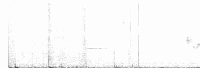 jeřábek kanadský - ML240923181