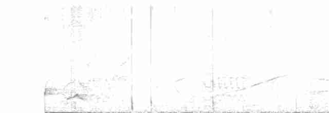 Pembe Gerdanlı Ardıç Tangarası - ML240926591