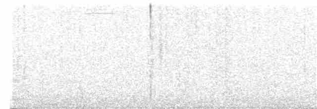 Gray-crowned Yellowthroat - ML240930511