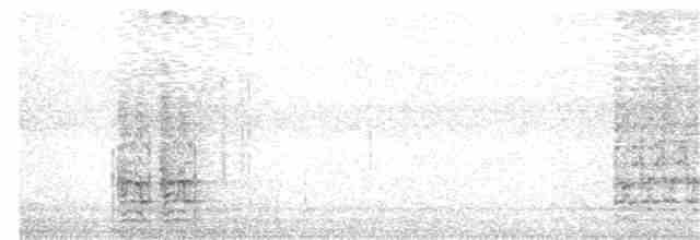 Chara de Beechey - ML240932231