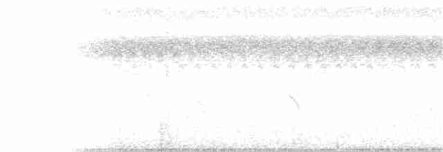 gråkronefrøeter - ML240933021