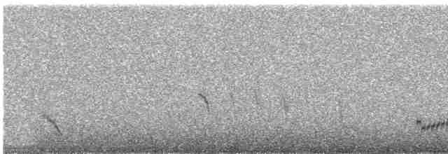 Kara Kanatlı Yer Kumrusu - ML240947