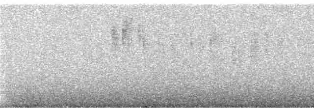 クロテリオハチドリ - ML240948