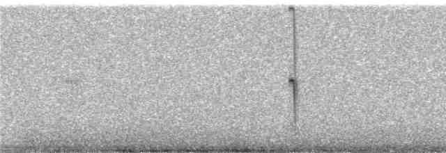 Исполинский колибри - ML240949