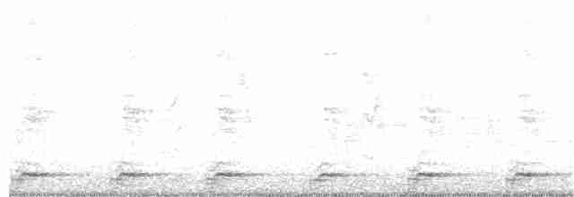 White-breasted Waterhen - ML240956451