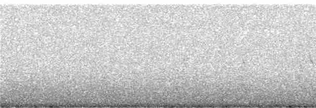 Землекоп сірий - ML240966