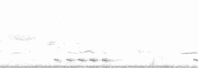 Black-billed Cuckoo - ML240975821