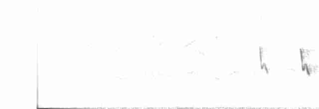 Иберийская теньковка - ML241000531
