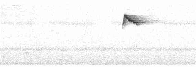 Светлобрюхий колибри-отшельник - ML241004041