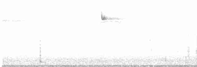 Western Flycatcher (Pacific-slope) - ML241005171