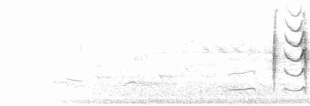 Icterine Warbler - ML241007371