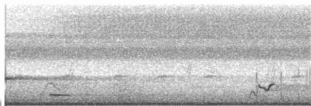 Perroquet jaco (erithacus) - ML24104961